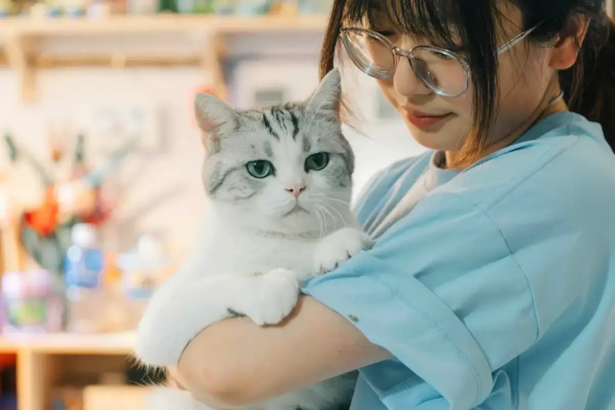 01-Pet-Sitting-vs-Pet-Boarding-cat-with-sitter