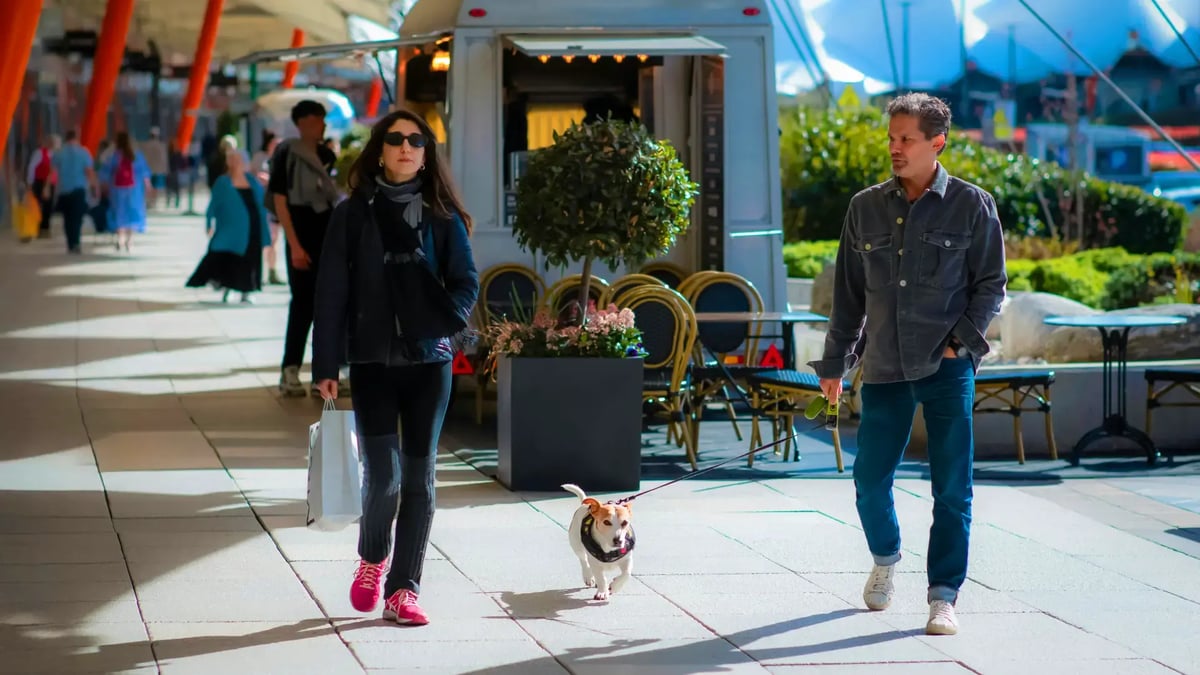 Are Dogs Allowed in Malls in Dubai?