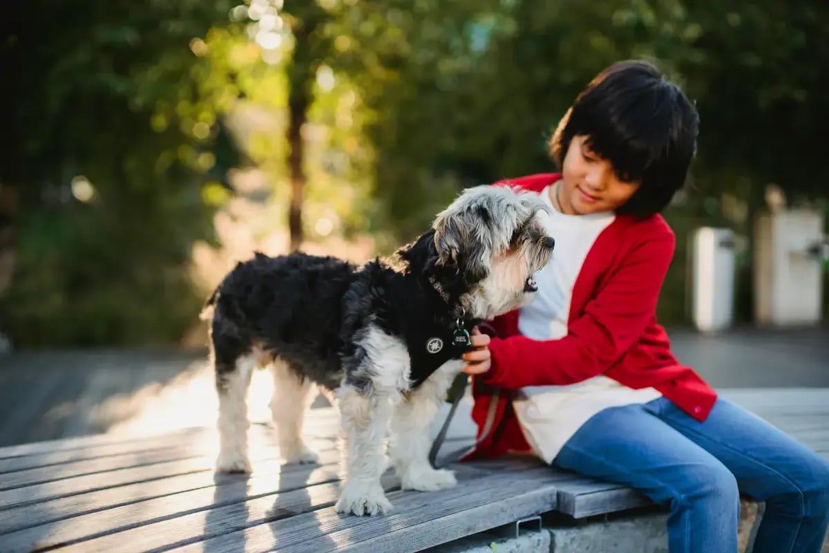 01-top-dog-names-in-uae-boy-with-a-dog