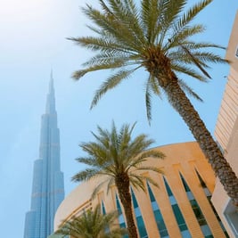 Guide to Pet Sitting Services in Dubai: All you need in 2025
