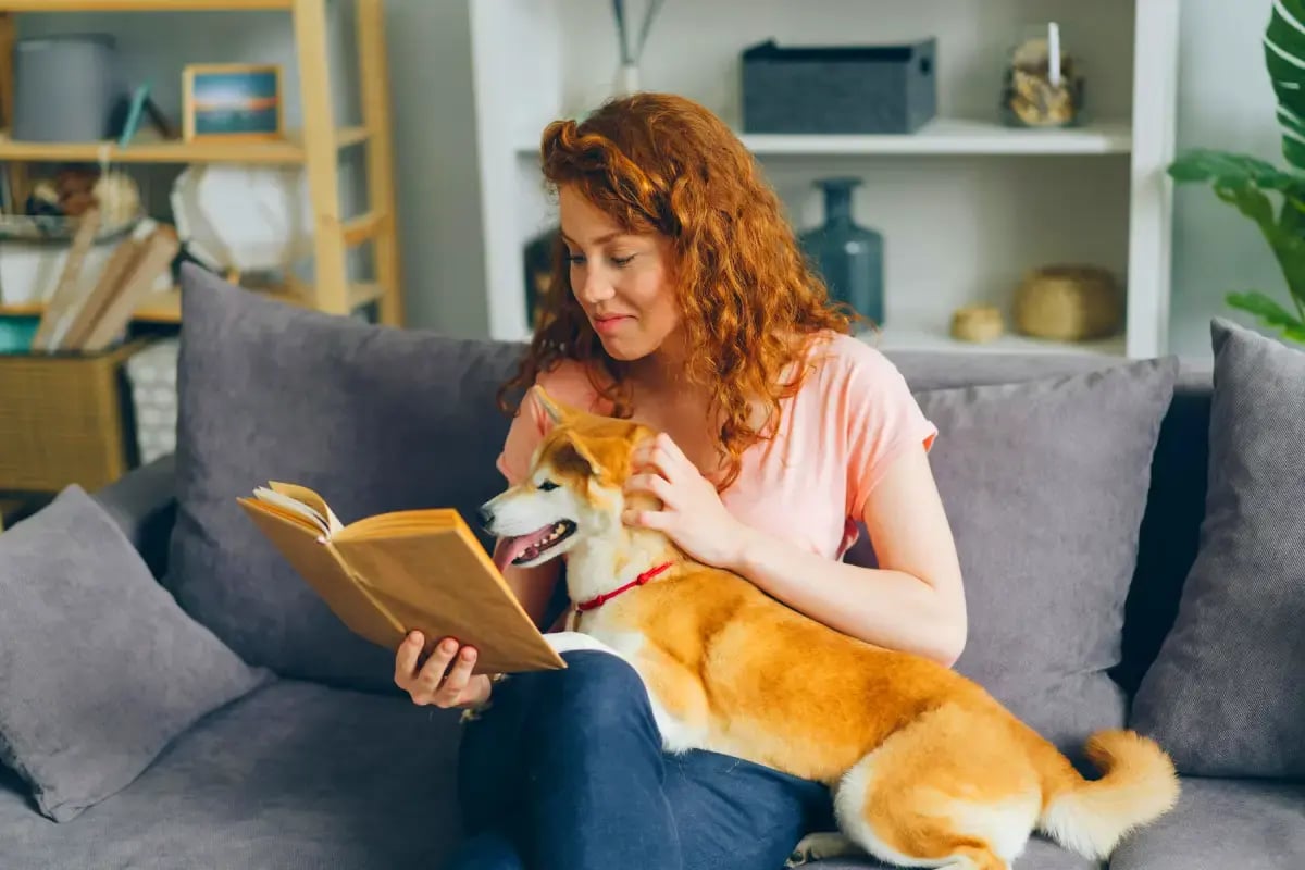 02-Pet-Sitting-vs-Pet-Boarding-dog-with-sitter