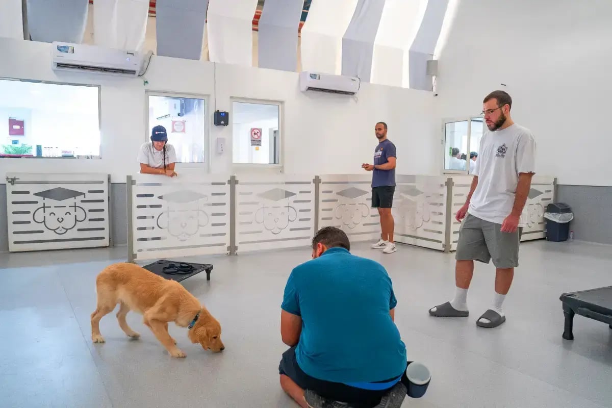 02-pet-sitter-with-dog-in-pet-watch