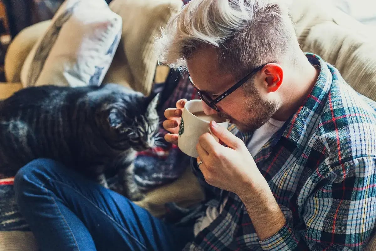 02-pet-sitting-industry-stats-cat-and-sitter
