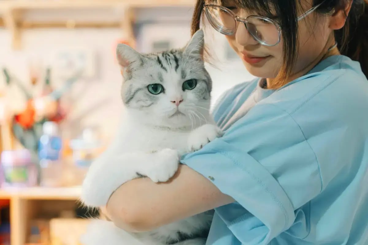 03-cat-sitter-with-cat-in-house-pet-sitting