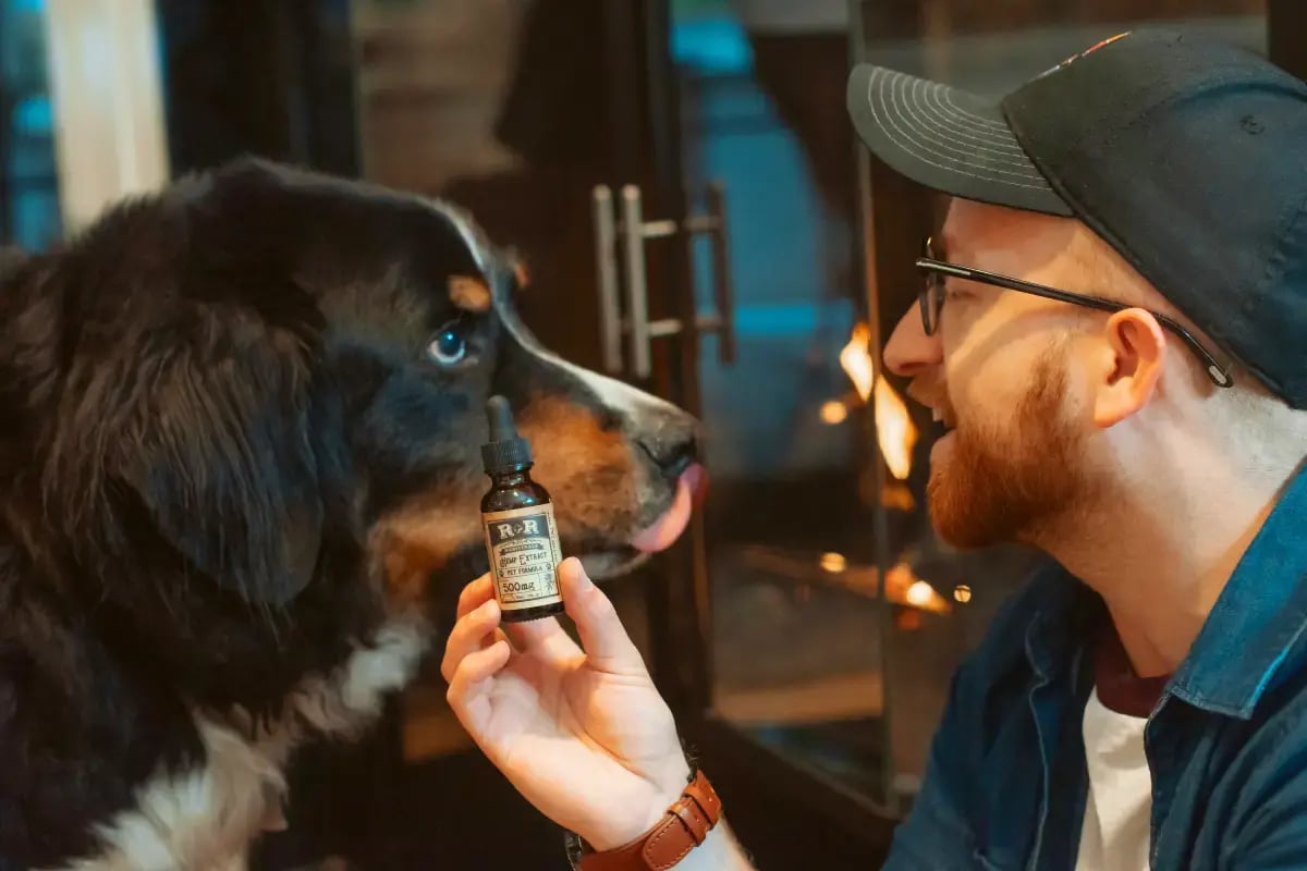 03-pet-health-dog-and-owner