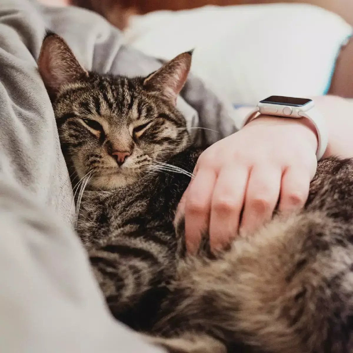 04-Expert_Tips_for_First-Time_Pet_Sitting_1_cropped