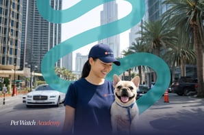 Pet Watch Academy’s Introduction to UAE Pet Care Laws & Regulations Course – Essential Legal Knowledge for UAE Pet Sitters
