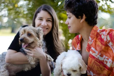 How to Create Strong Pet Sitting Profile on the Pet Watch App?