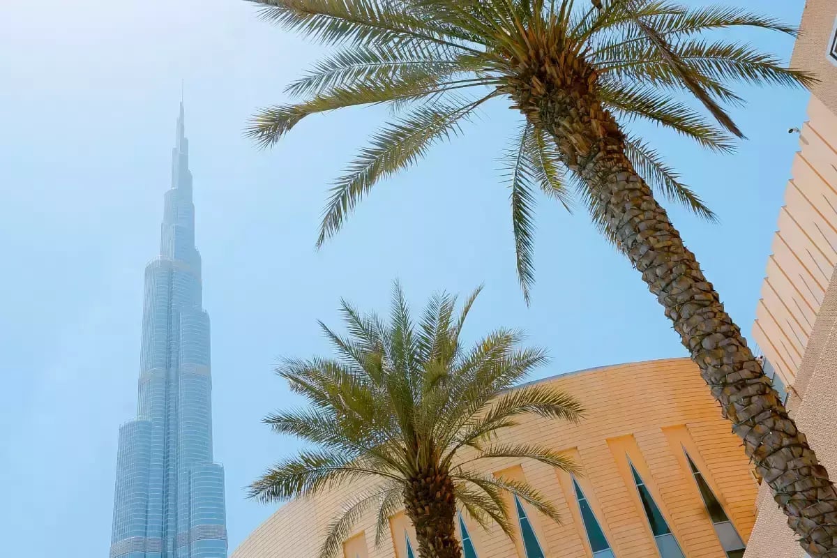 featured-Dubais_Pet_Sitting_Market_Featured_Image
