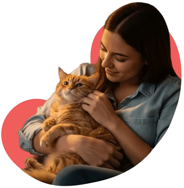 cat services in pet watch