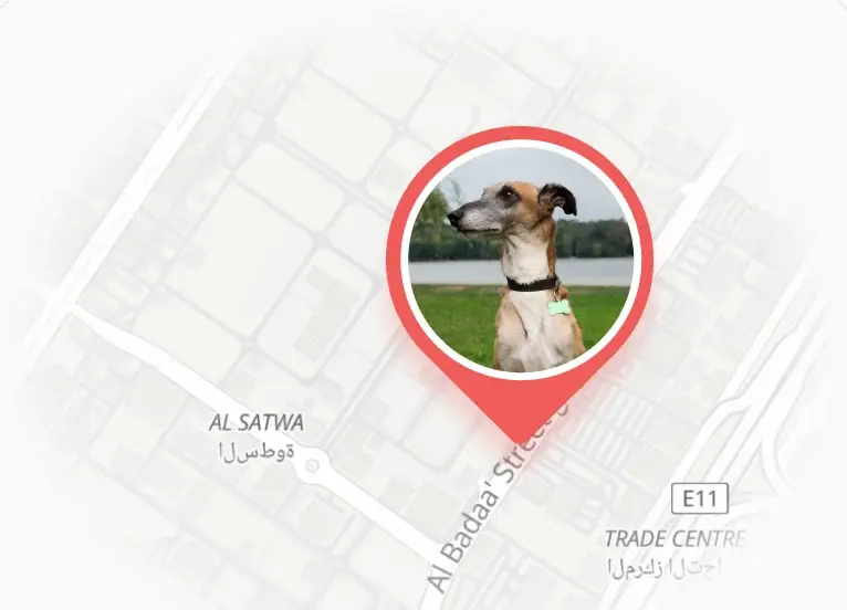 Live GPS tracking map
