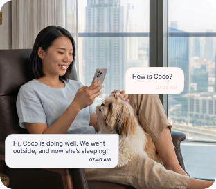 Live Chat Updates