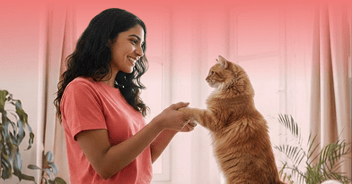 Certified Pet Sitters