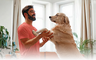 Background-checked sitter with dog
