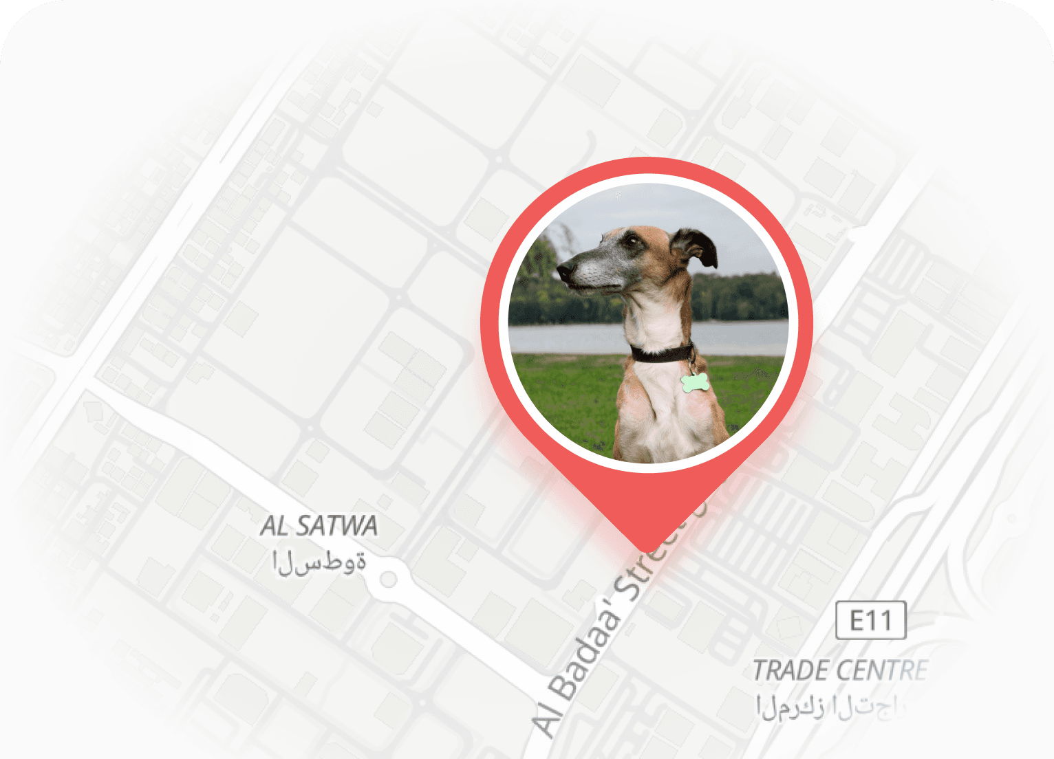 Live GPS tracking map