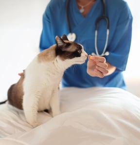 Medication Administration