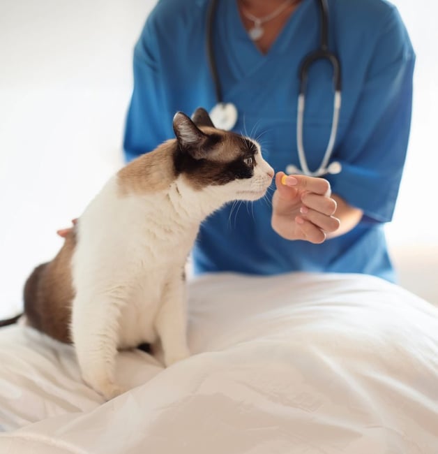 Medication Administration