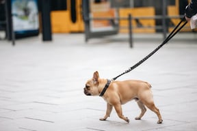 Additional Walk