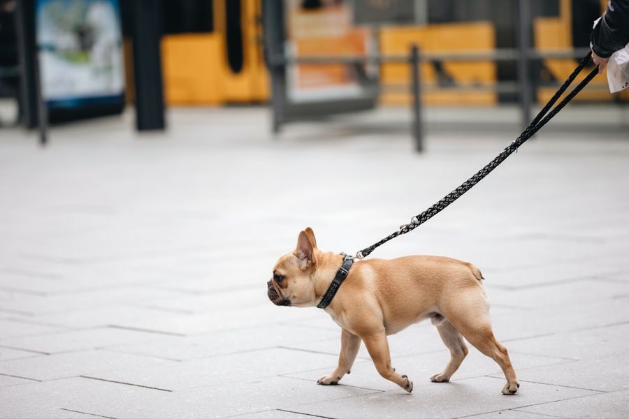 Additional Walk