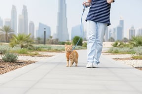 Outdoor Walking
