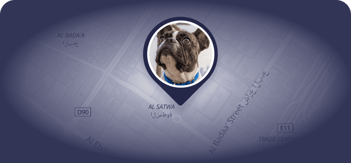 Real-Time Location