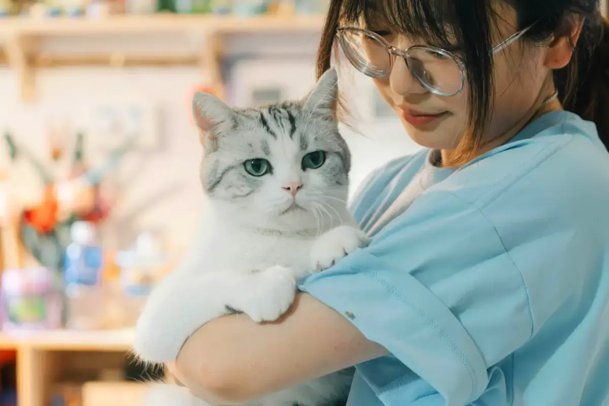 Pet Sitting vs Pet Boarding: Choose the Best Care for Your Furry Friend