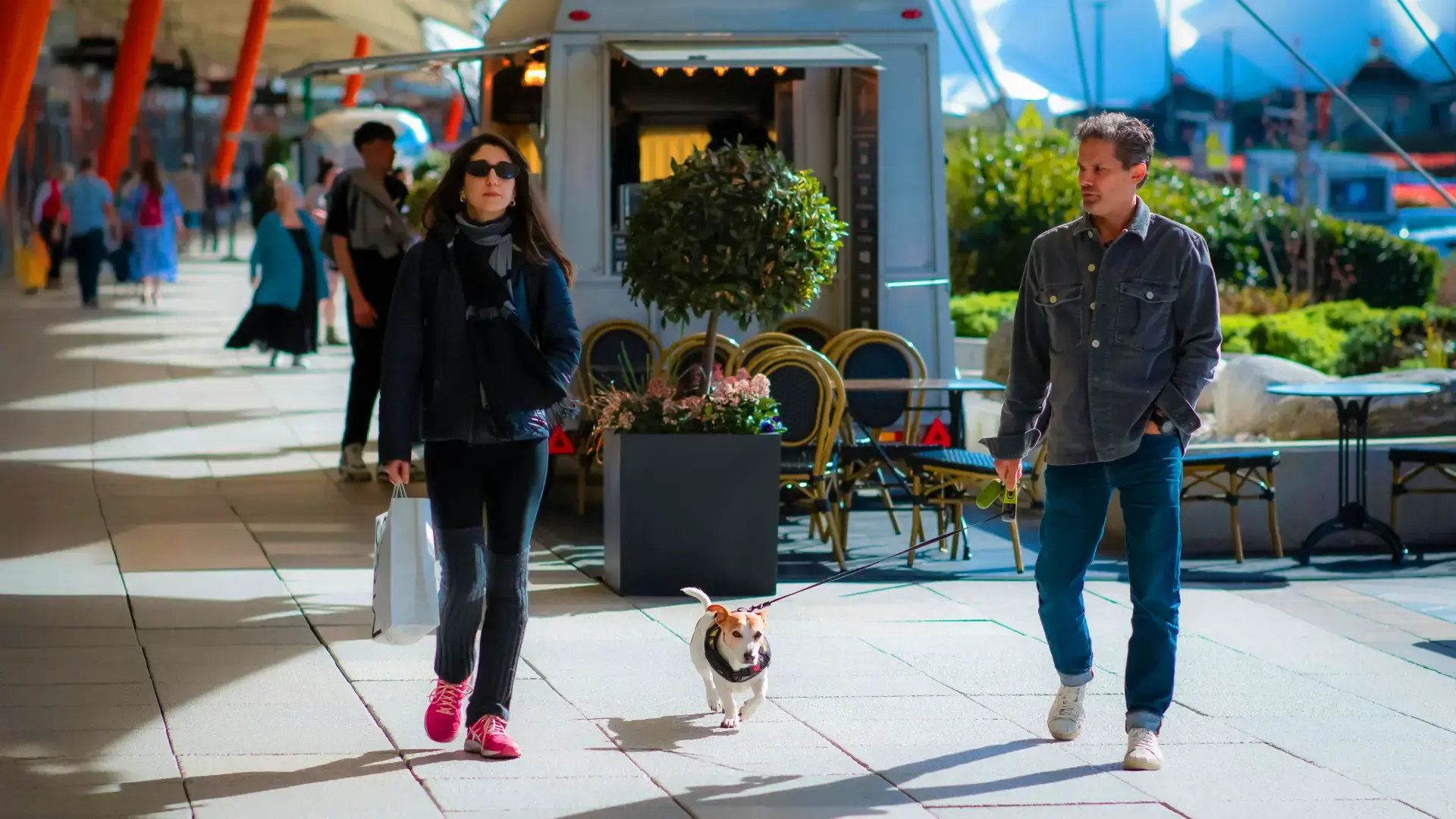 Are Dogs Allowed in Malls in Dubai?