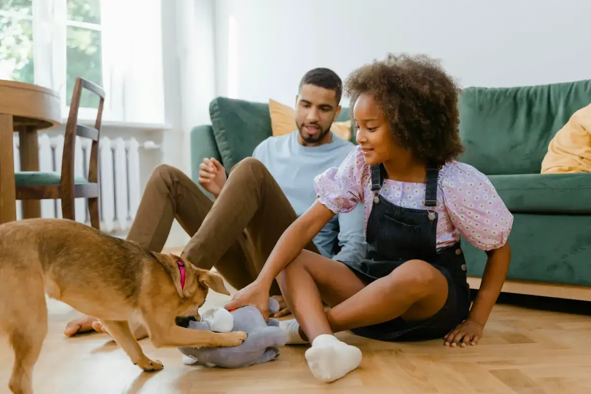 In House Pet Sitting: Our New Service for At-Home Pet Care!