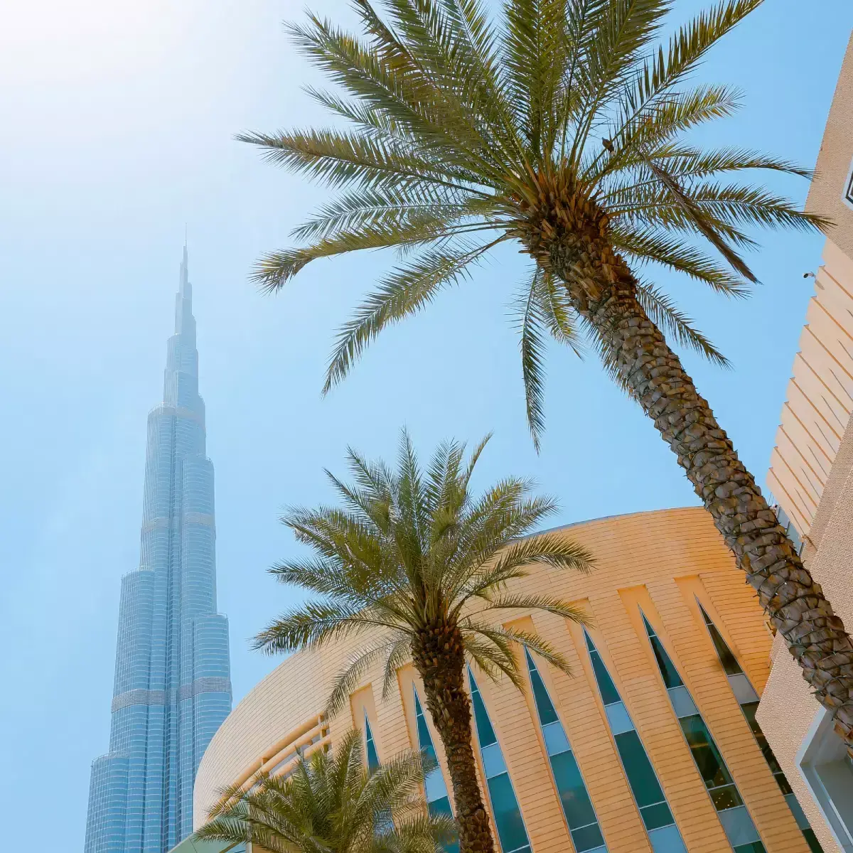 Guide to Pet Sitting Services in Dubai: All you need in 2025