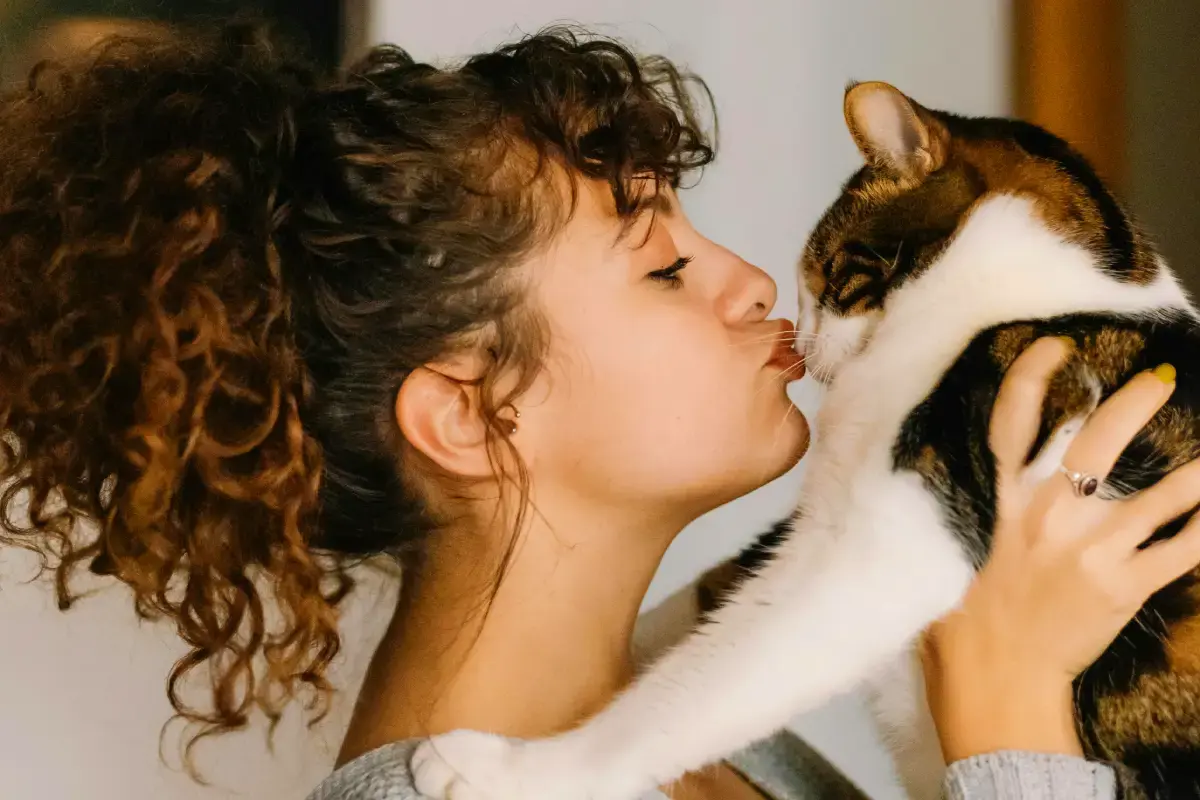 The Ultimate Cat Sitter Checklist: Your Complete Guide to Stress-Free Cat Care