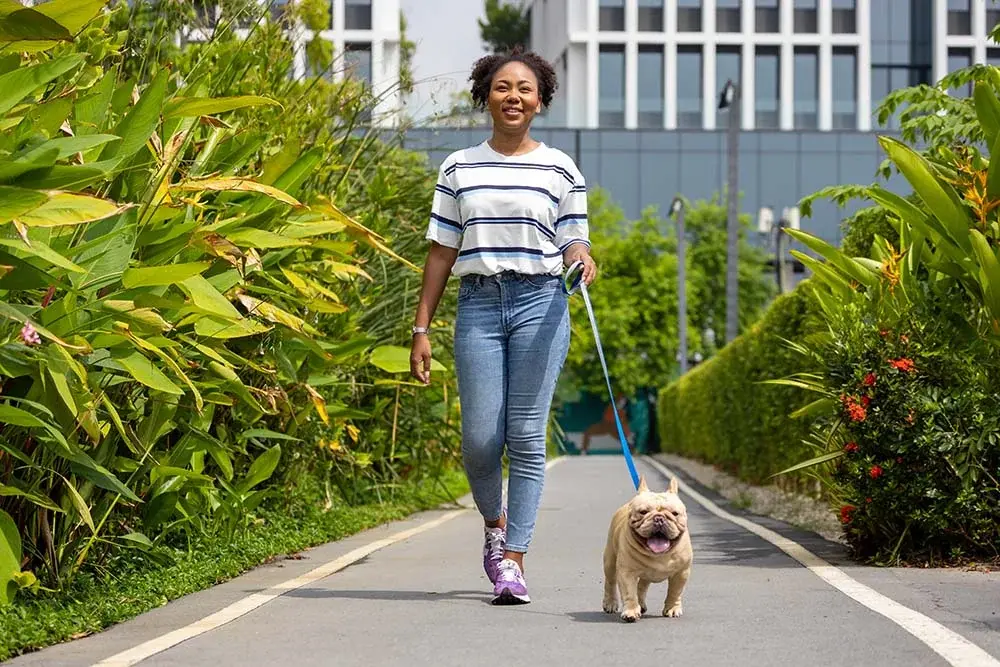 Dog Walking in UAE: A Pathway to Health and Happiness for You and Your Pet
