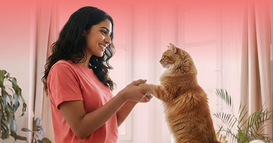 Certified Pet Sitters